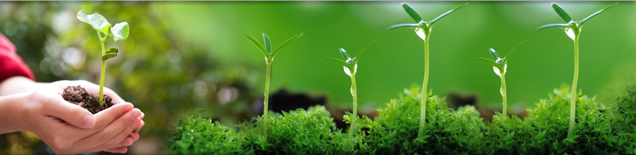 Lifesciences-Group-Sciforschen